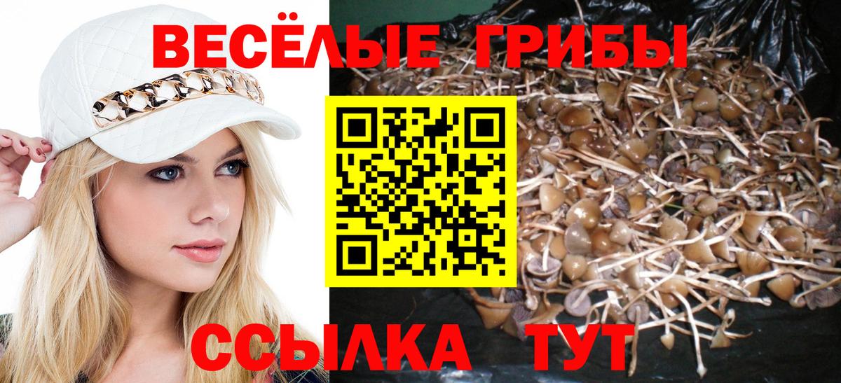 Псилоцибиновые грибы MAGIC MUSHROOMS Чистополь
