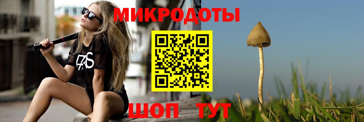 где купить наркотик  Вход с VPN  Чистополь  Псилоцибиновые грибы GOLDEN TEACHER  Псилоцибиновые грибы Cubensis 